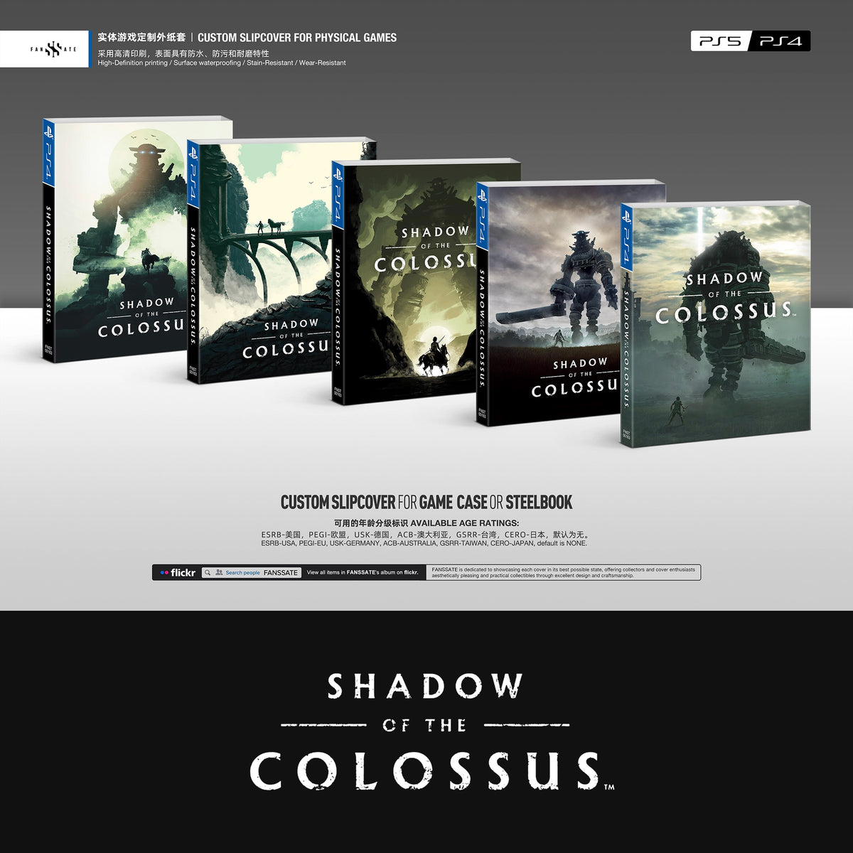 SHADOW OF THE COLOSSUS