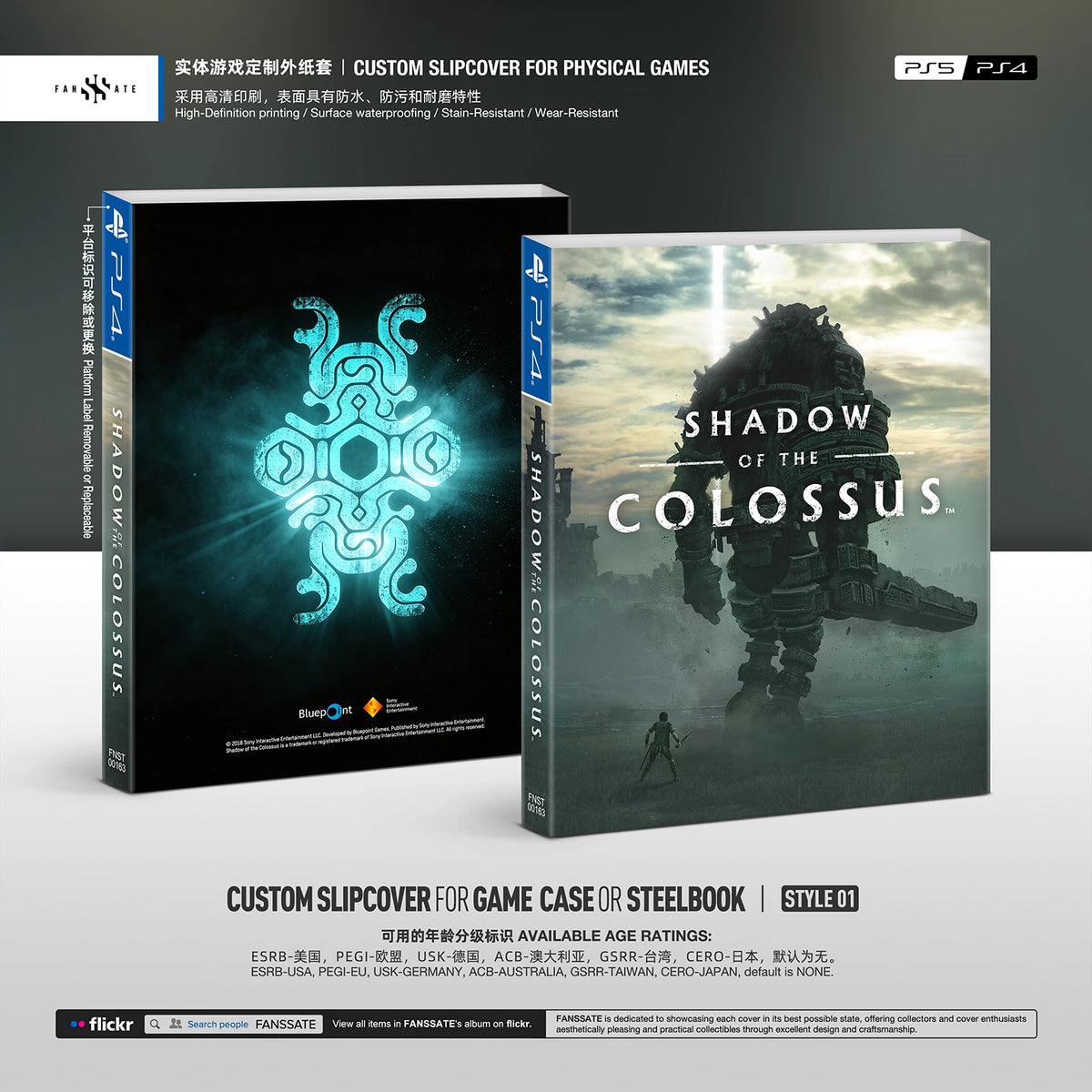 SHADOW OF THE COLOSSUS