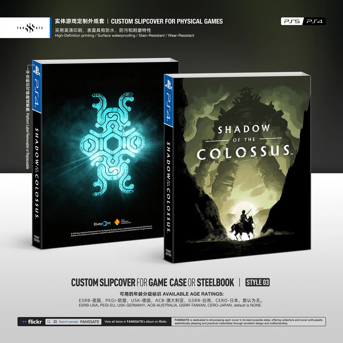 SHADOW OF THE COLOSSUS