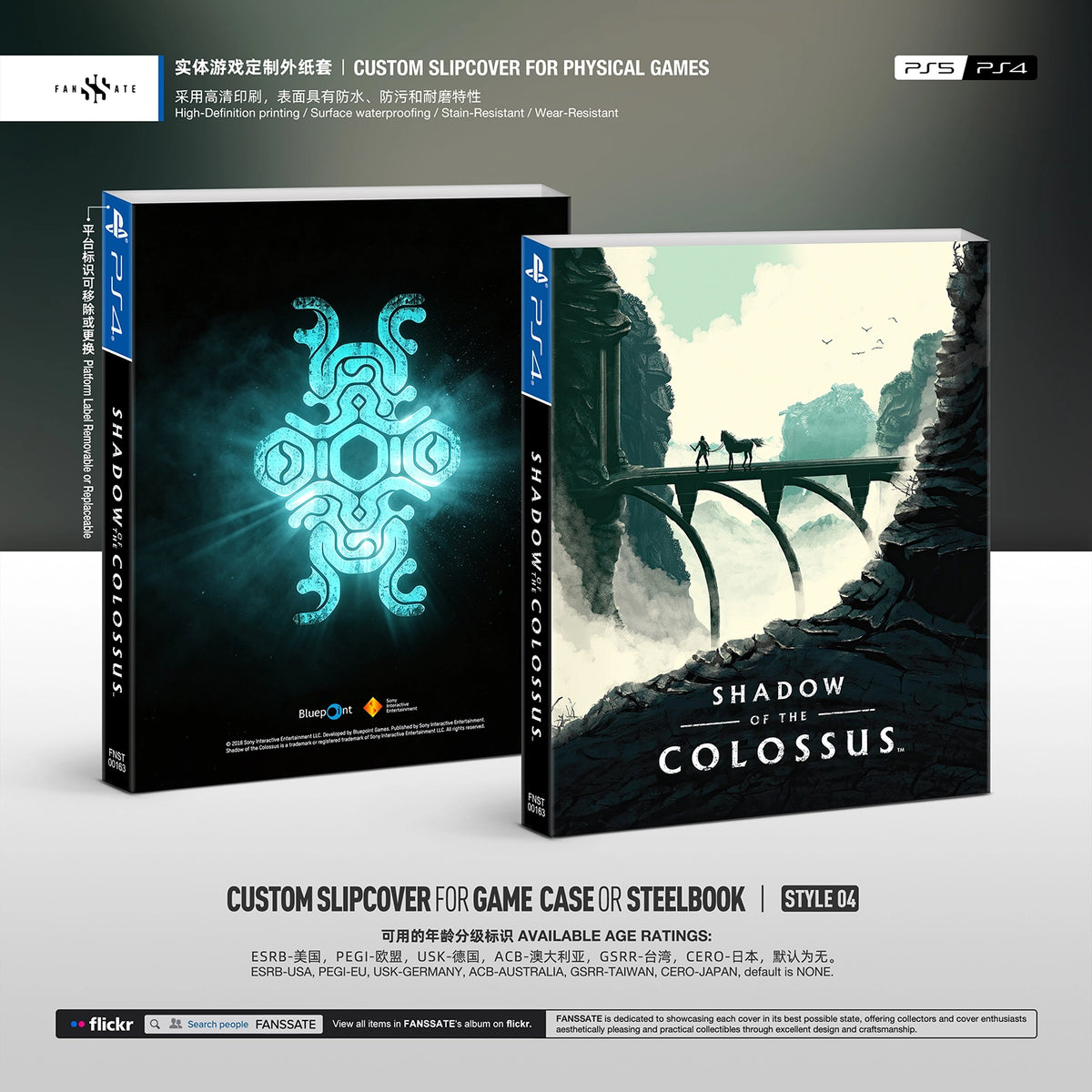 SHADOW OF THE COLOSSUS